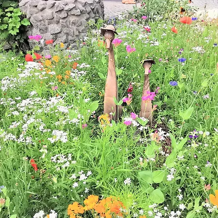 Bodensee Apfelliebe Tettnang